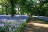 Hell Gate Wants You to Behold Some Bluebells and Baboons