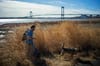Chris Nagy, wildlife biologist and the co-founder of the Gotham Coyote Project, with his dog Ethan. In both Ferry Point Park