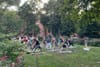 A group of people do yoga in a park.
