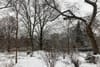 Snow in Tompkins Square Park in New York City.
