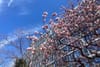 NY’s Good Cause Eviction Compromise Probably Won’t Do Shit for You and Millions of Other Renters