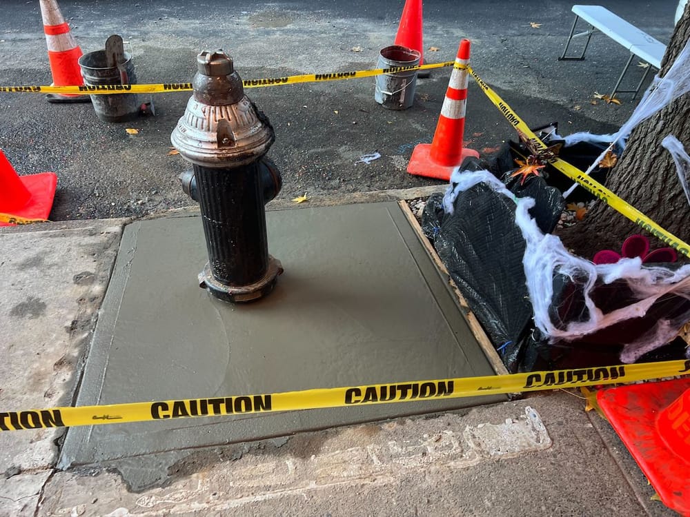 The City Just Paved Over The Bed-Stuy Aquarium